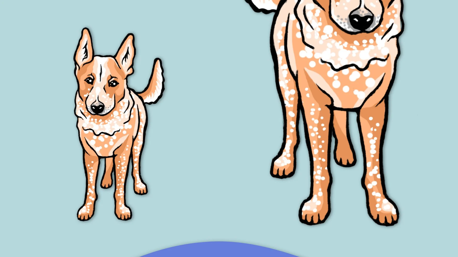 DogStickers_Portfolio.009.jpeg