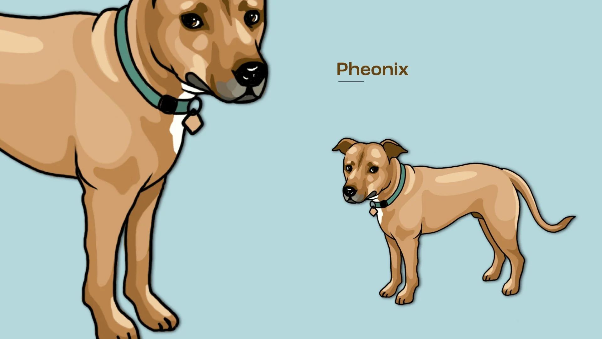 DogStickers_Portfolio.012.jpeg