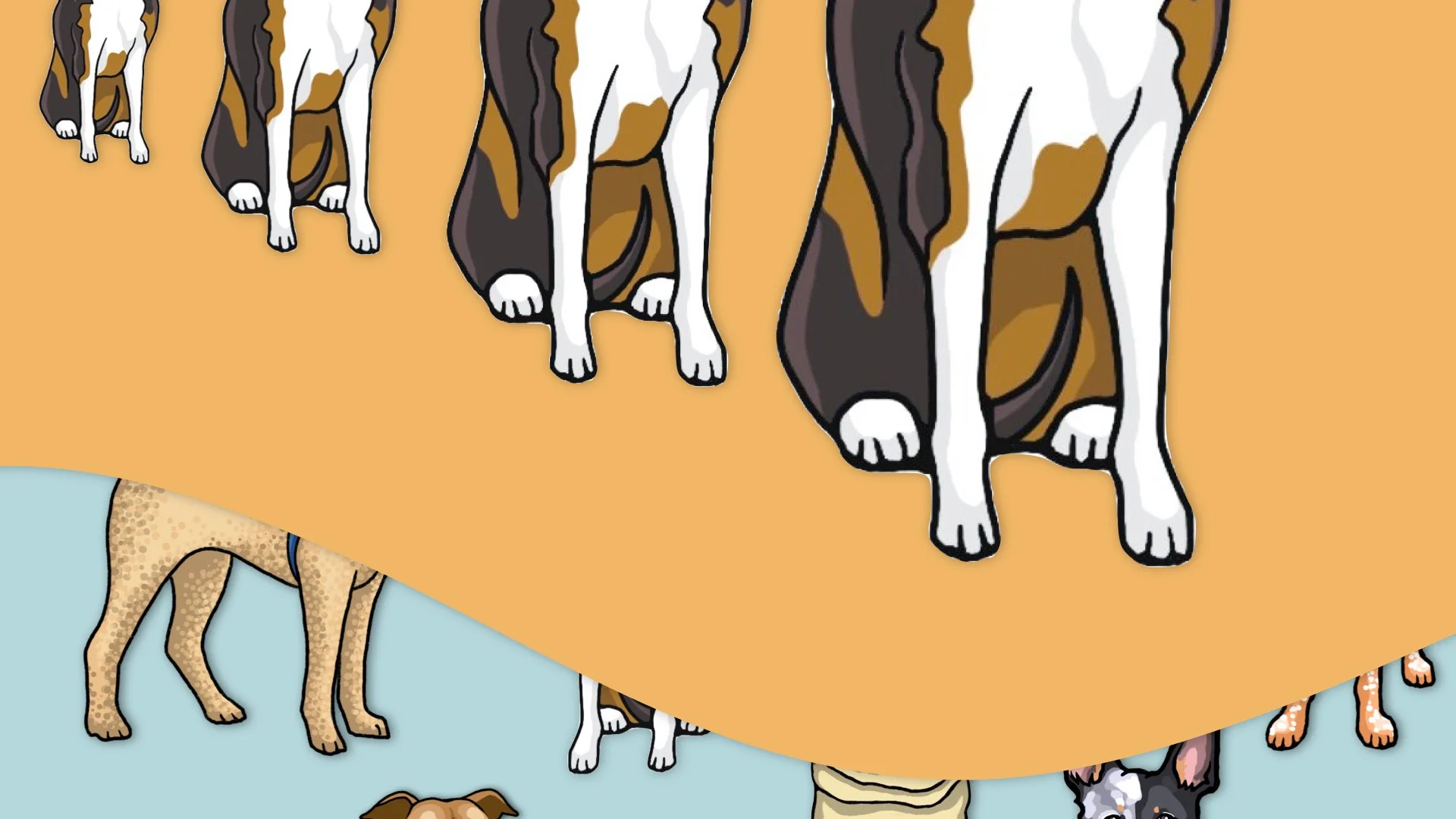 DogStickers_Portfolio.014.jpeg