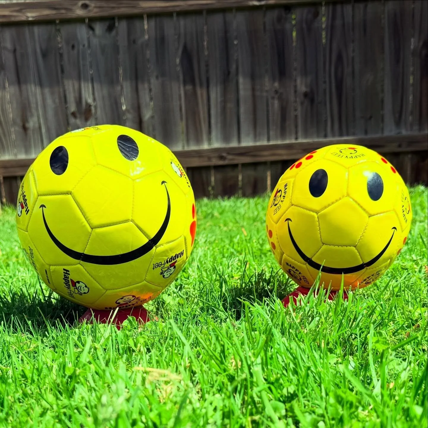 Mini Bob soccer balls are back in stock! ⚽️😃❤️ 

Mini &ldquo;Bob&rdquo; Ball- Size 1- These balls are perfect for toddlers and young children to learn the basics, as their smaller feet and legs cannot handle the weight of a standard-size ball. 

Pla