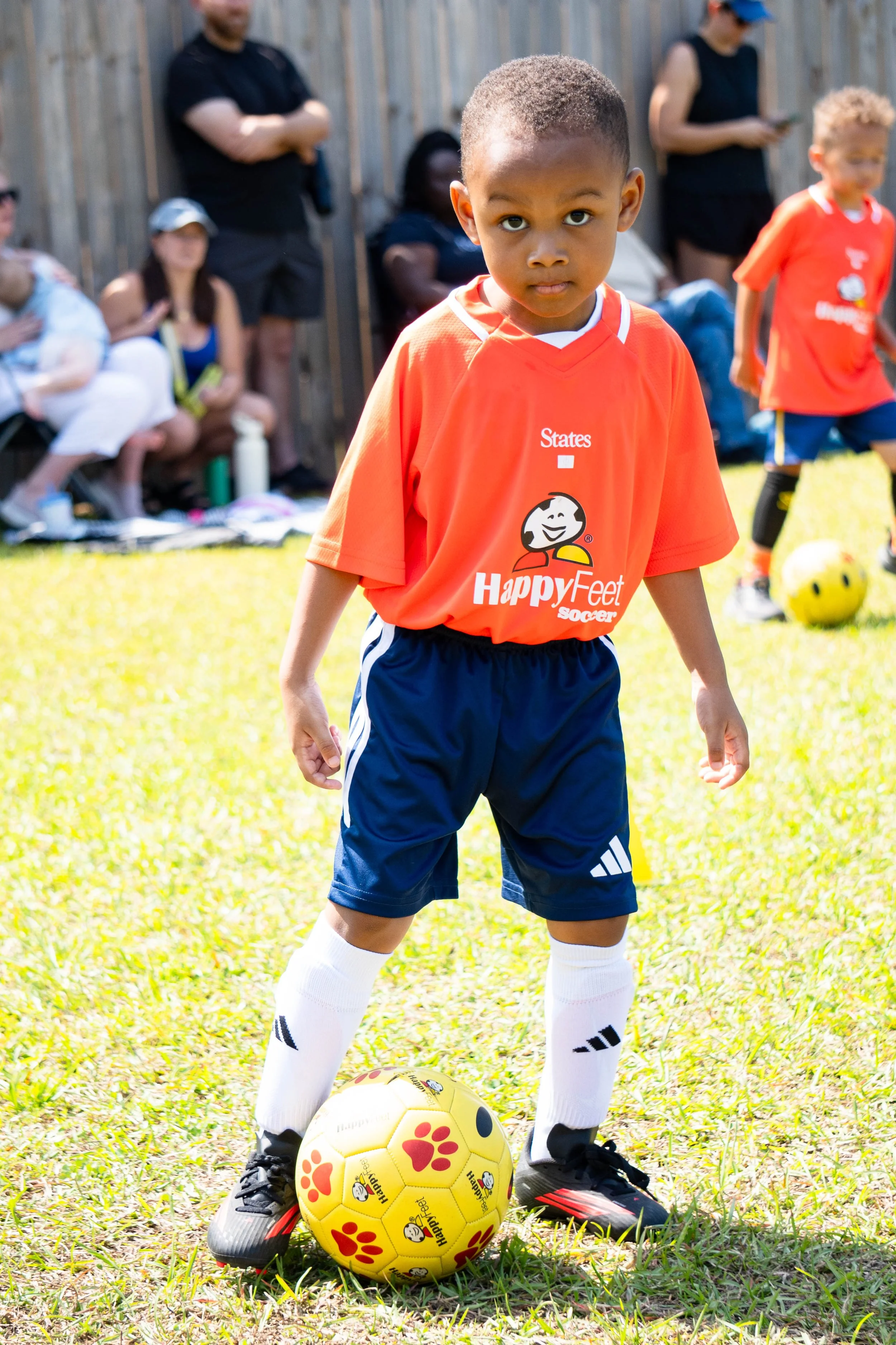 DSC02536.jpg