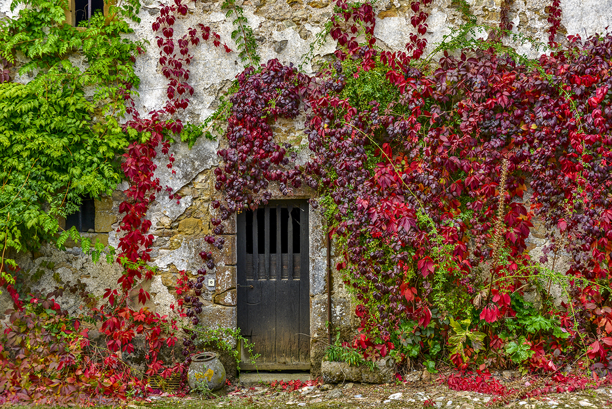 courtyard_0285.jpg