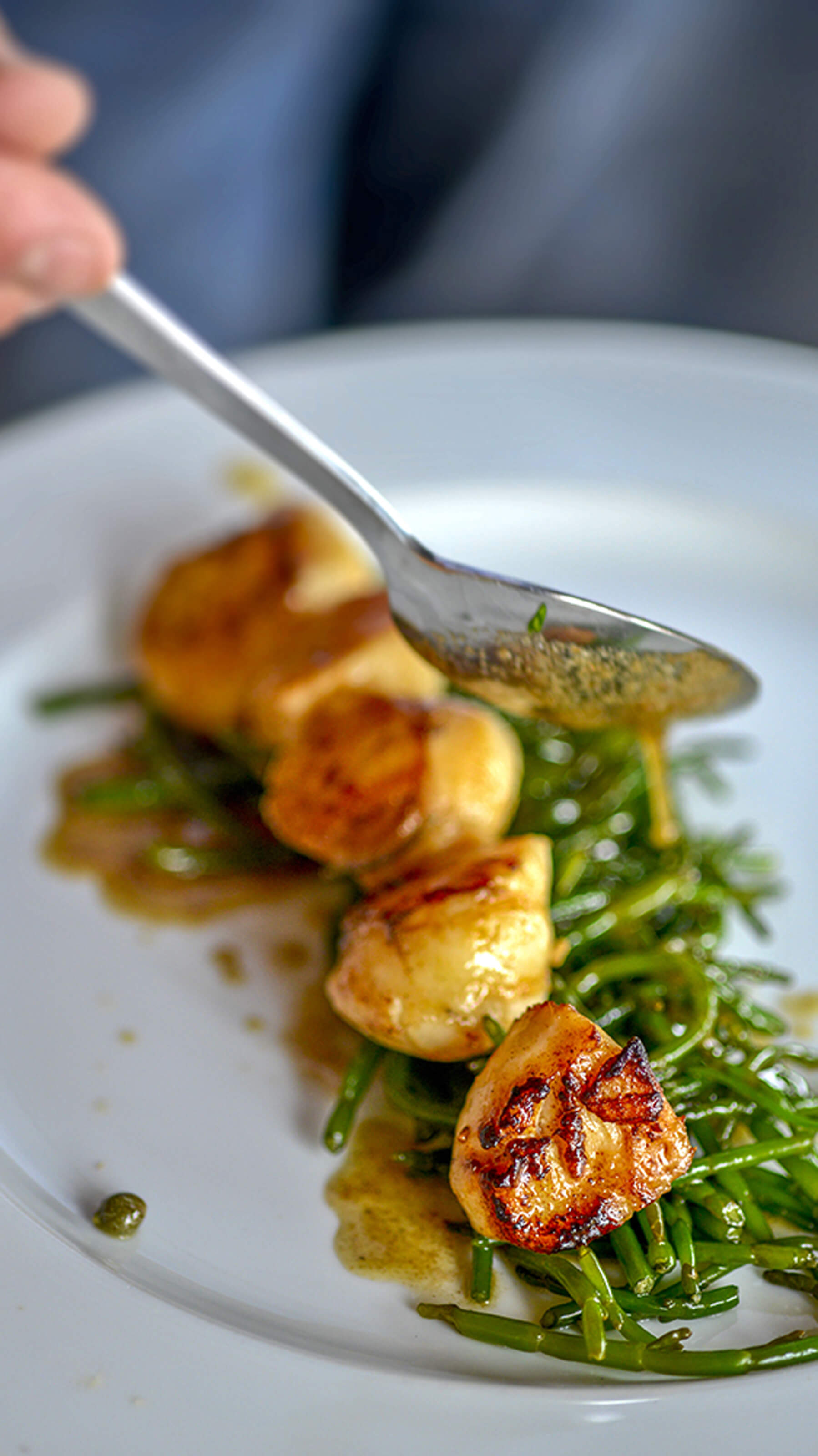 scallops_salicorne__0089.jpg