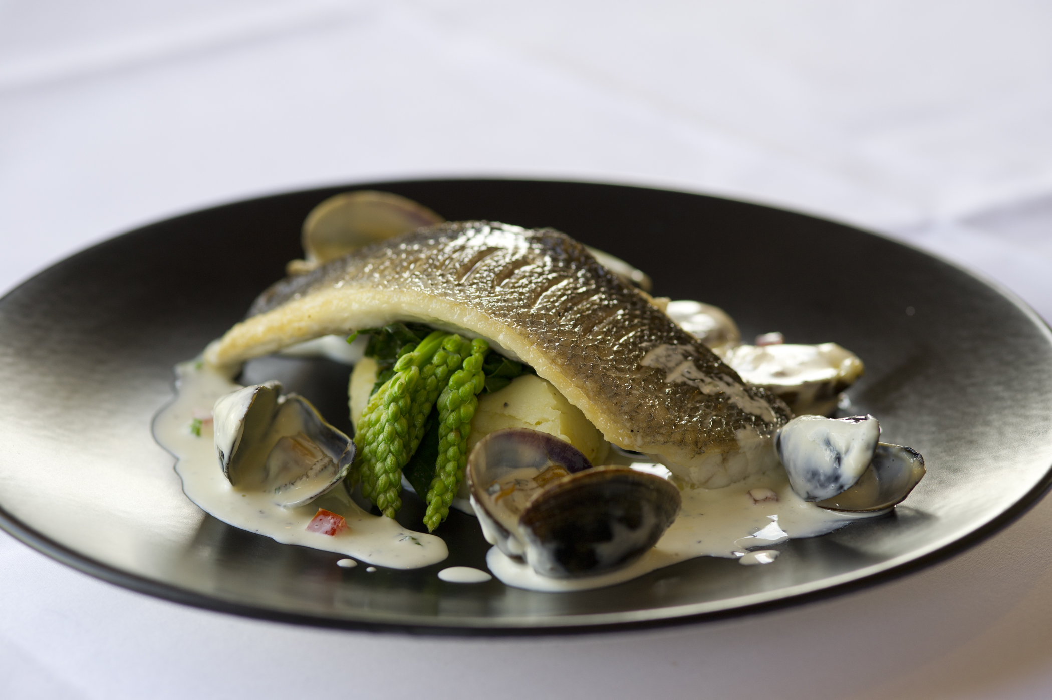 Copy (7) of Seabass.jpg