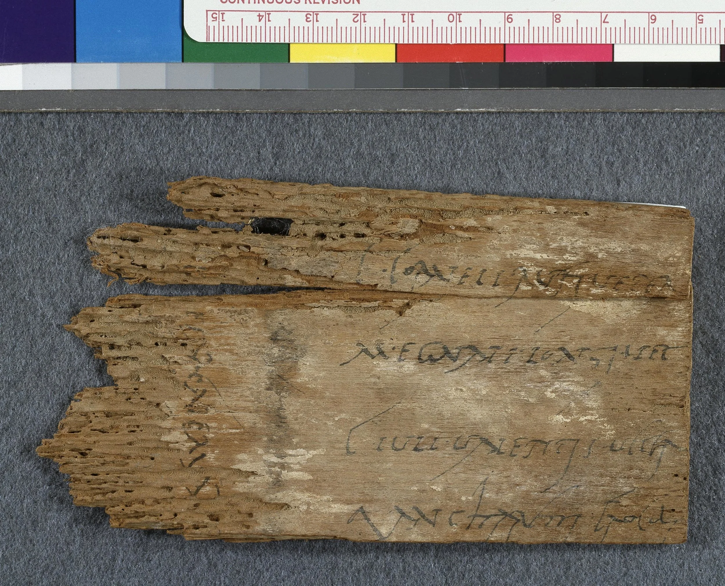 University of Michigan Papyrology Collection, P. Mich. inv. 2737.
