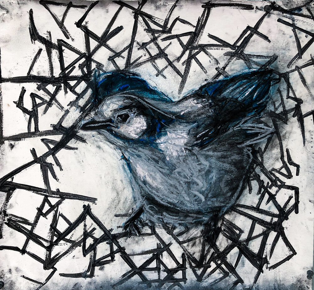 Safe- Nest/Cage- 'Corvid-19' by Leya Russell