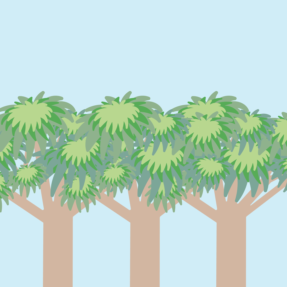 Tree Skipper Social Content | Illustration: Christina Suen | Creative Direction + Storyboard: Lisa Hopey + Lucy Litman