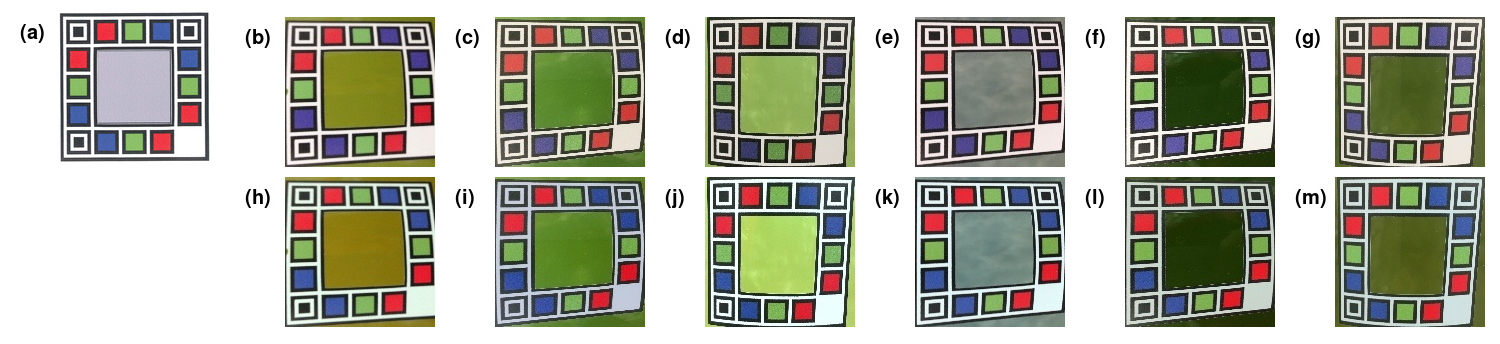 Figure 3 demonstrates the effect the normalization algorithm has on a selection of six images. The pixels from the coloured squares in the reference image (Figure 1a) are used to train a Gaussian process model for each colour channel within each image. Figures 1b-1g are the unnormalized images uploaded to the site after they have undergone image transformation to orient the anchor points. Figures 1h-1m are the corresponding normalized images after the Gaussian process based algorithm has been applied.