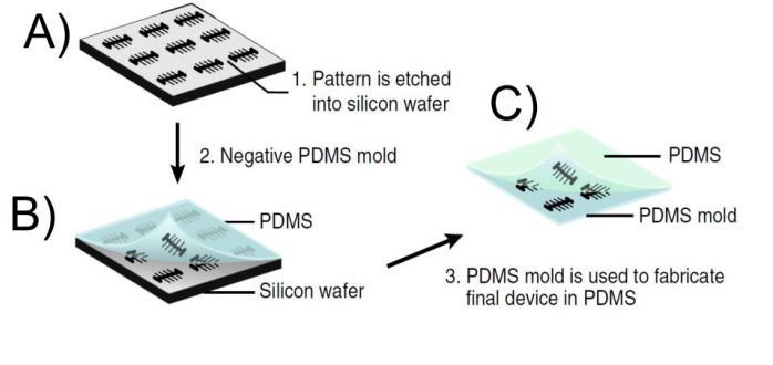 Figure 2. Workflow of Moolman device. A) The patterns are etched into the silicon wafer after the negative resist has been patterned with the electron beam. B) A negative replica of the structures on the silicon wafer is transferred into a PDMS mold. C) The PDMS mold made in B) is used to pattern the final device onto the PDMS. The final pattern on the PDMS is identical with the pattern on the silicon wafer. The figure was taken from (5)