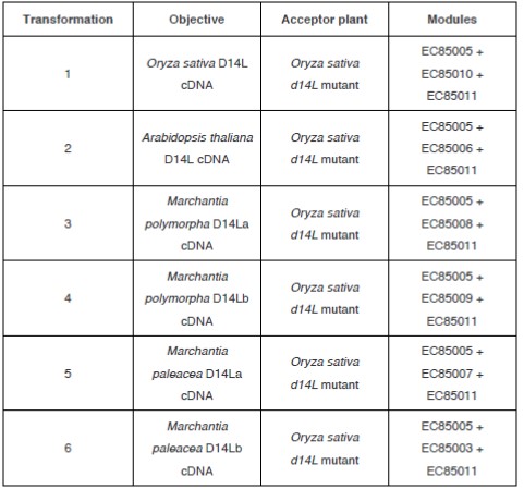 Table 2. Summary of transformations and golden gate modules used in each case.
