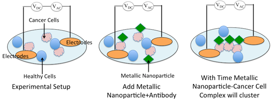 Fig 2: Experimental Method