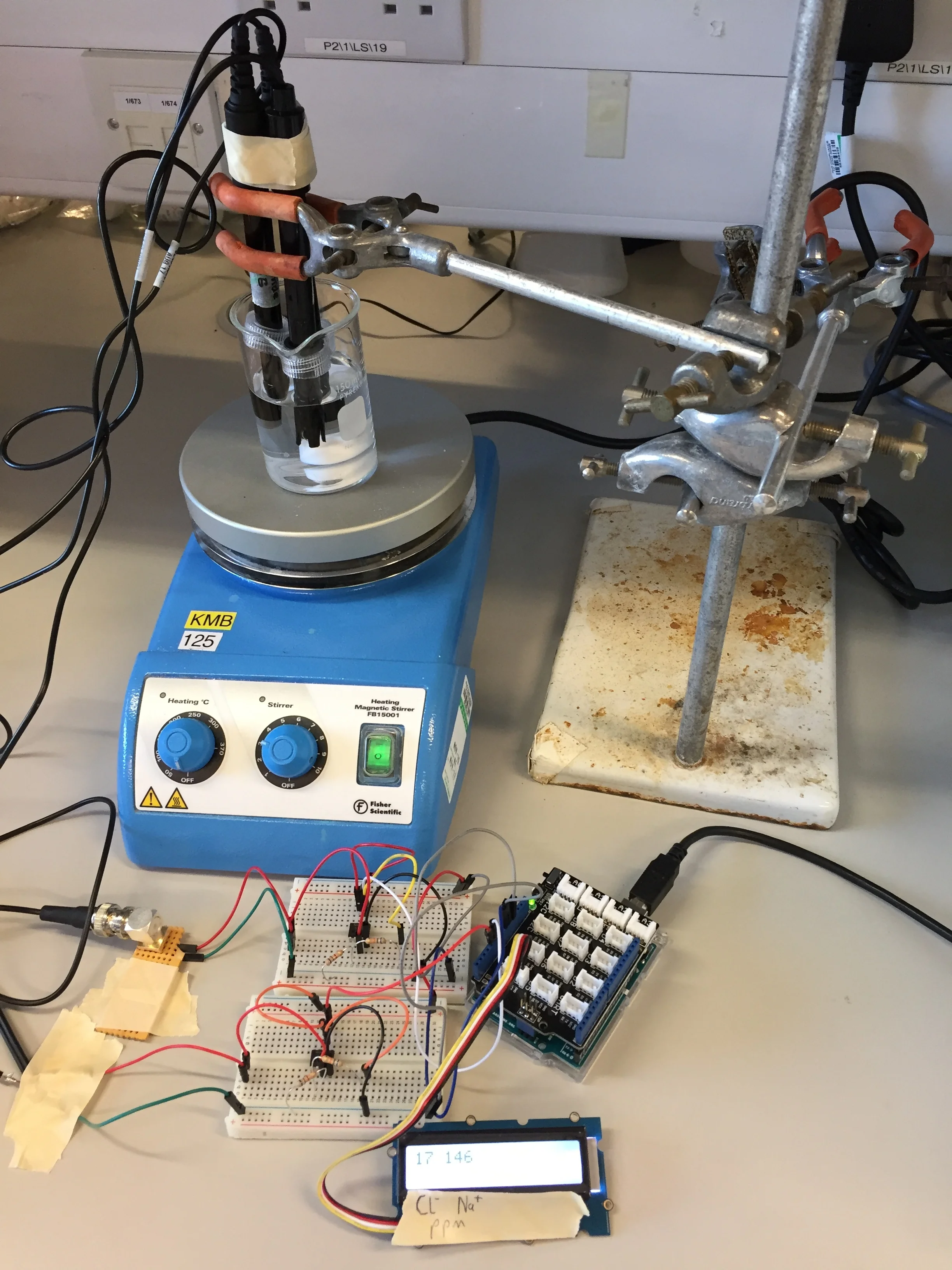 Detecting alterations in ionic concentrations associated with different cellular states