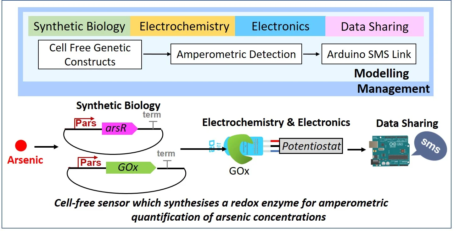 Figure 1. A summary of the sensor and it’s development