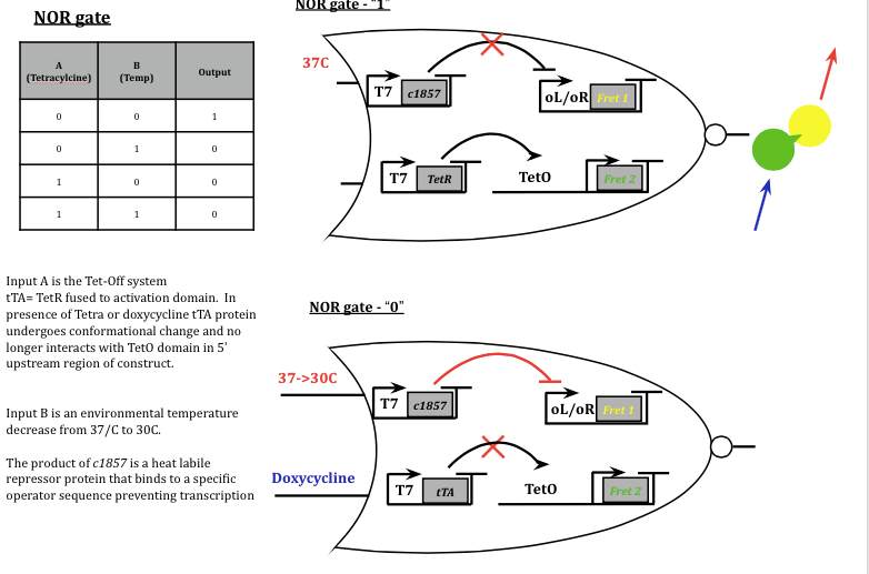Figure 1b. NOR Gate