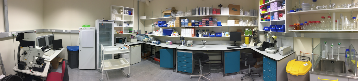 Figure 7. The biology lab of Biomakespace