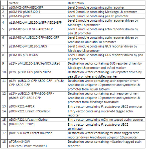 Table 1. List of generated vectors