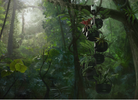 An artistic representation of the pMFC