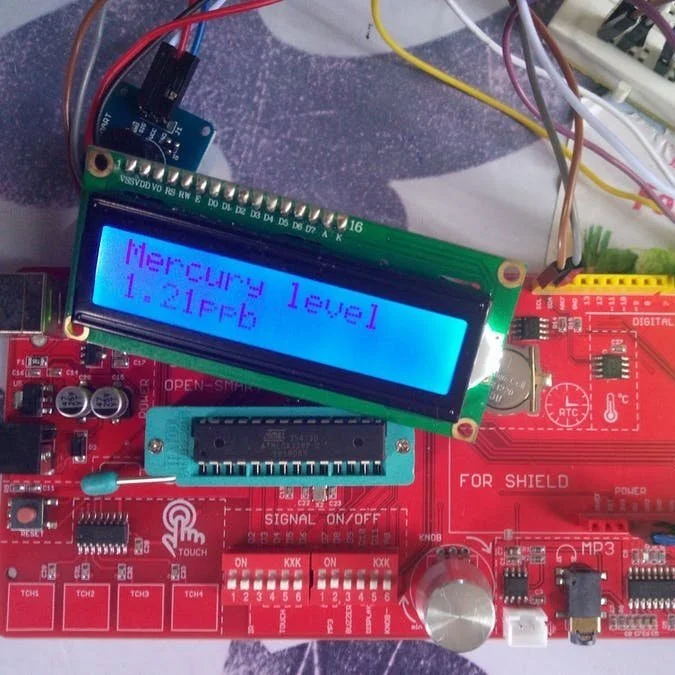 Sensor for Mercury Detection in Water