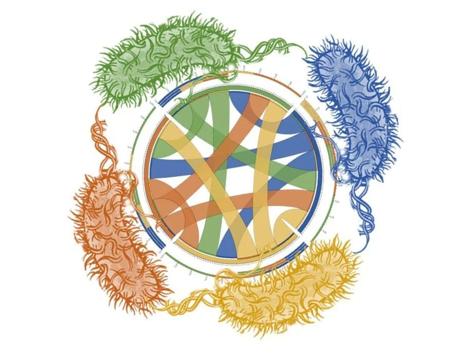 An open toolkit for engineering microbial interactions