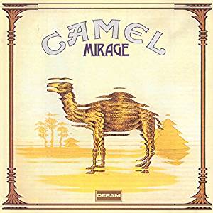 camel.jpeg