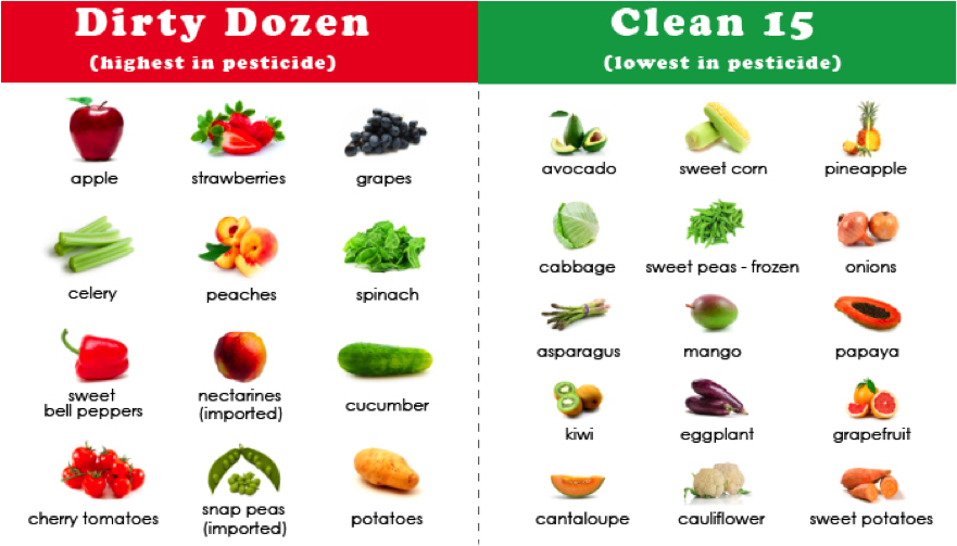 7 Perbedaan Sayuran Organik Dan Non Organik