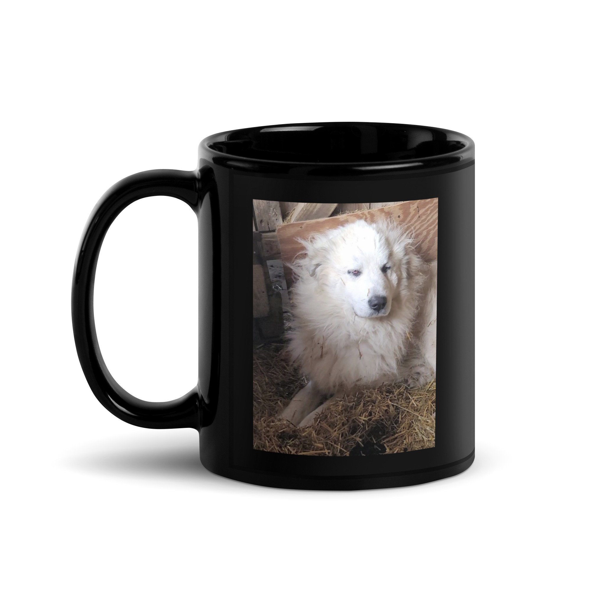 black-glossy-mug-black-11-oz-handle-on-left-6758ace948dc8.jpg