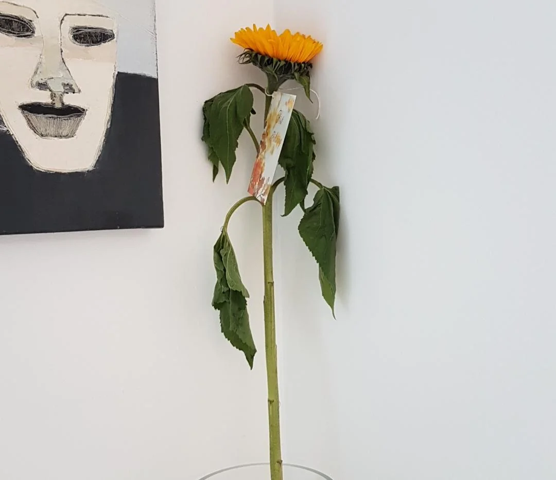 Resized_20181006_160104_4966.jpeg