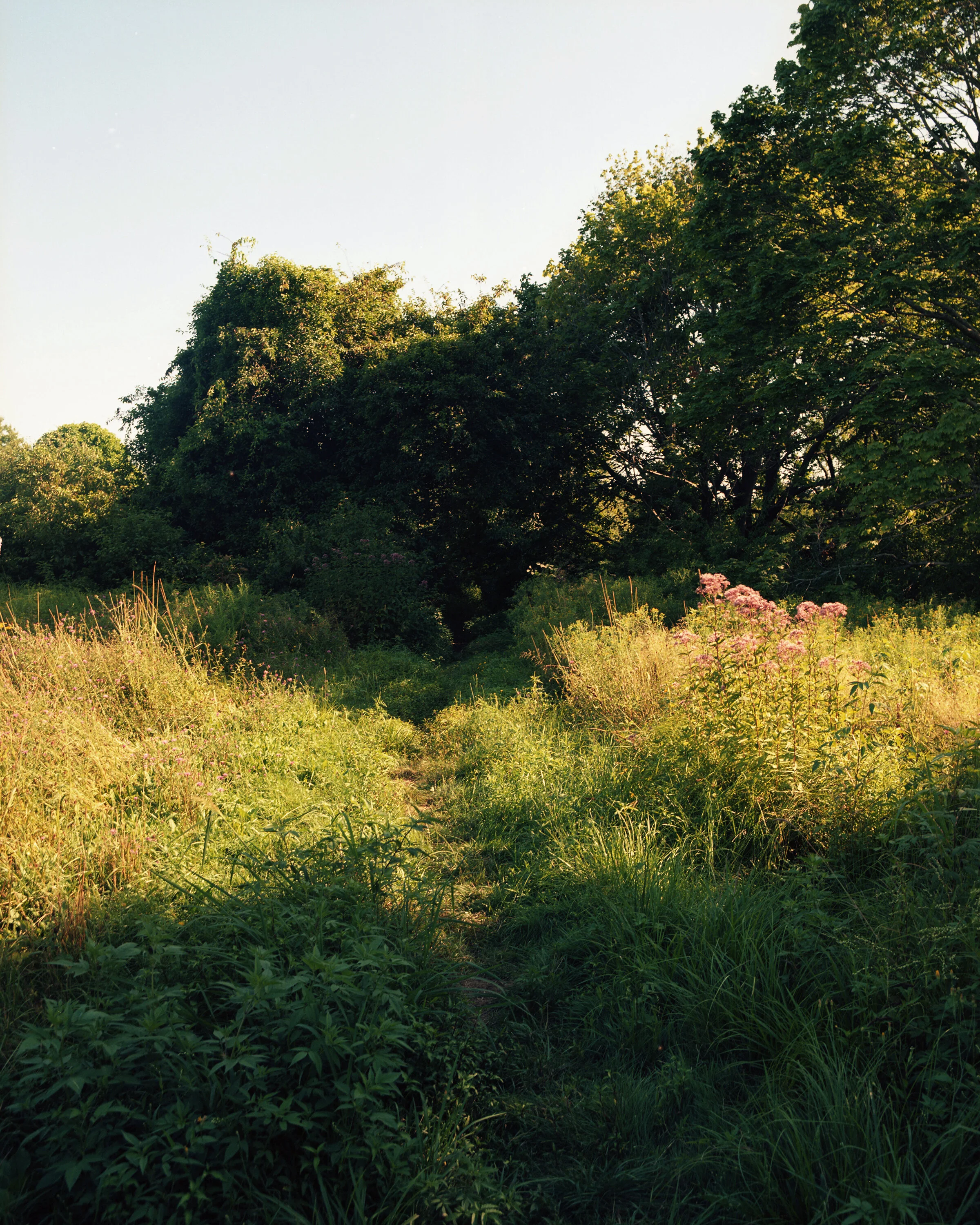 TheField_Kingston copy.jpg