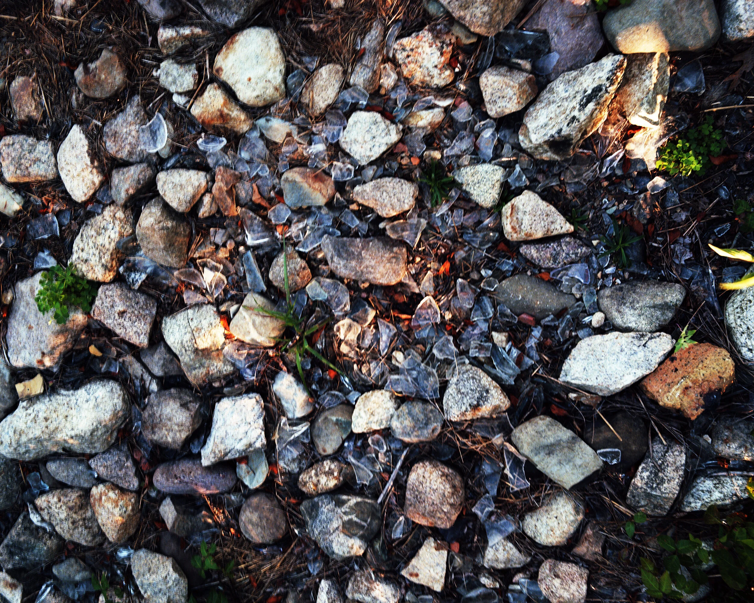 SouthernShores_Bottlecompany copy.jpg