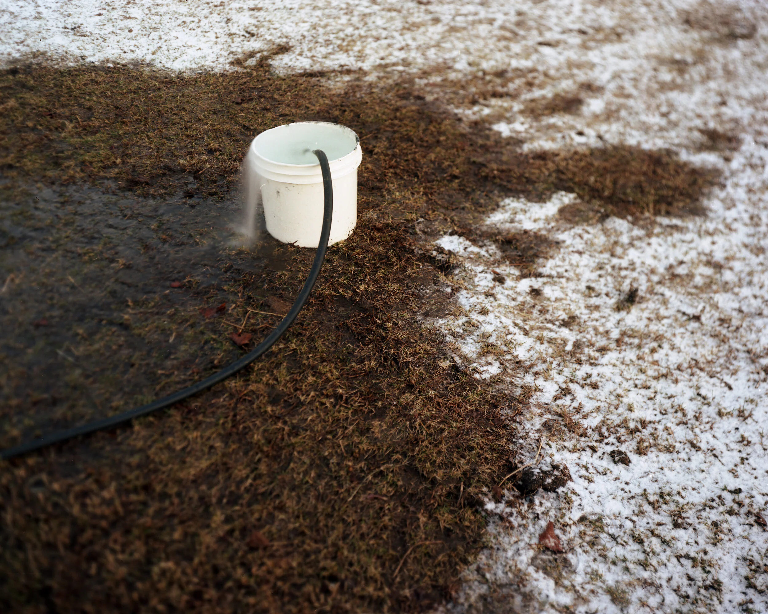 bucket with water.jpg