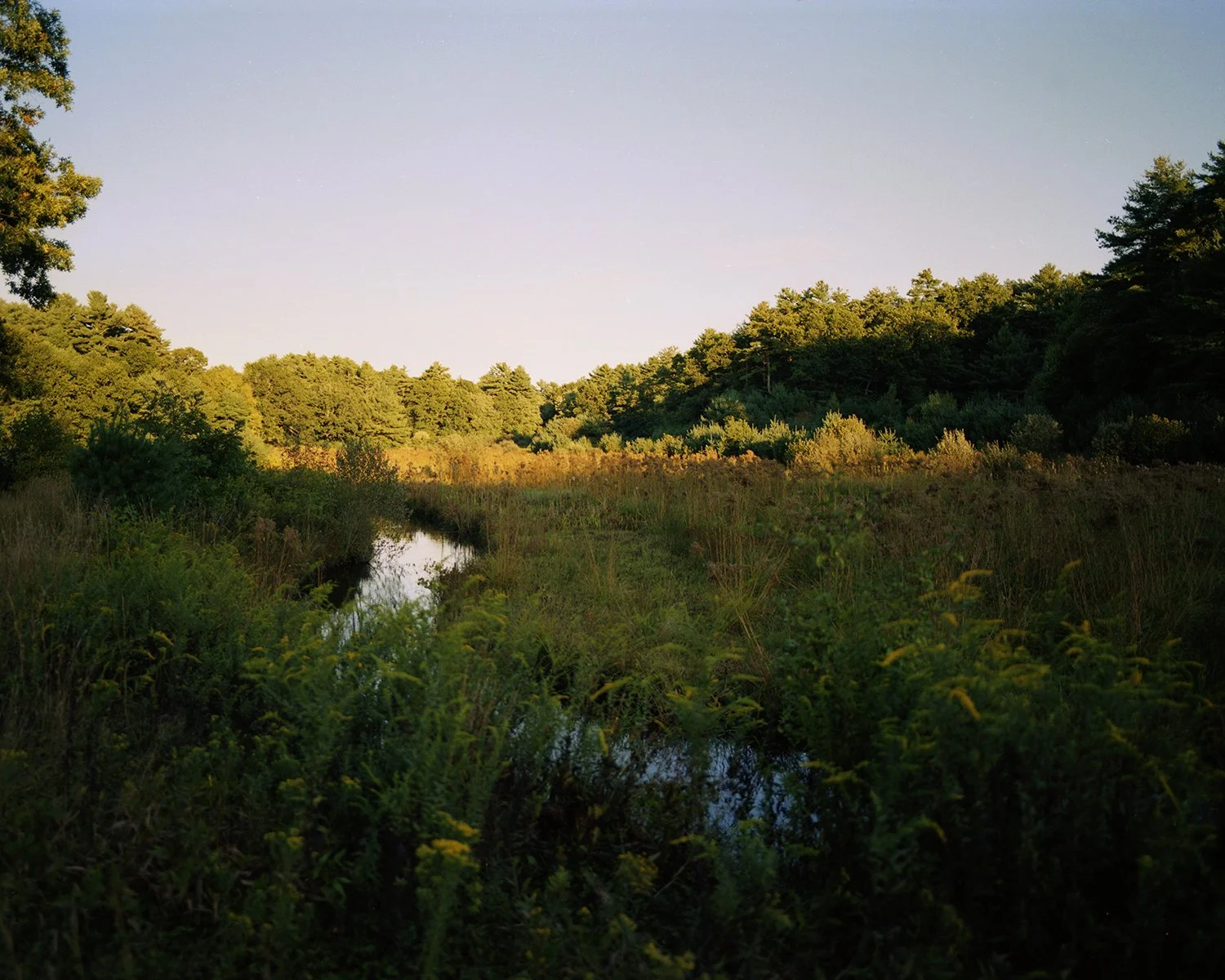018_Freyer_Petrichor.jpg