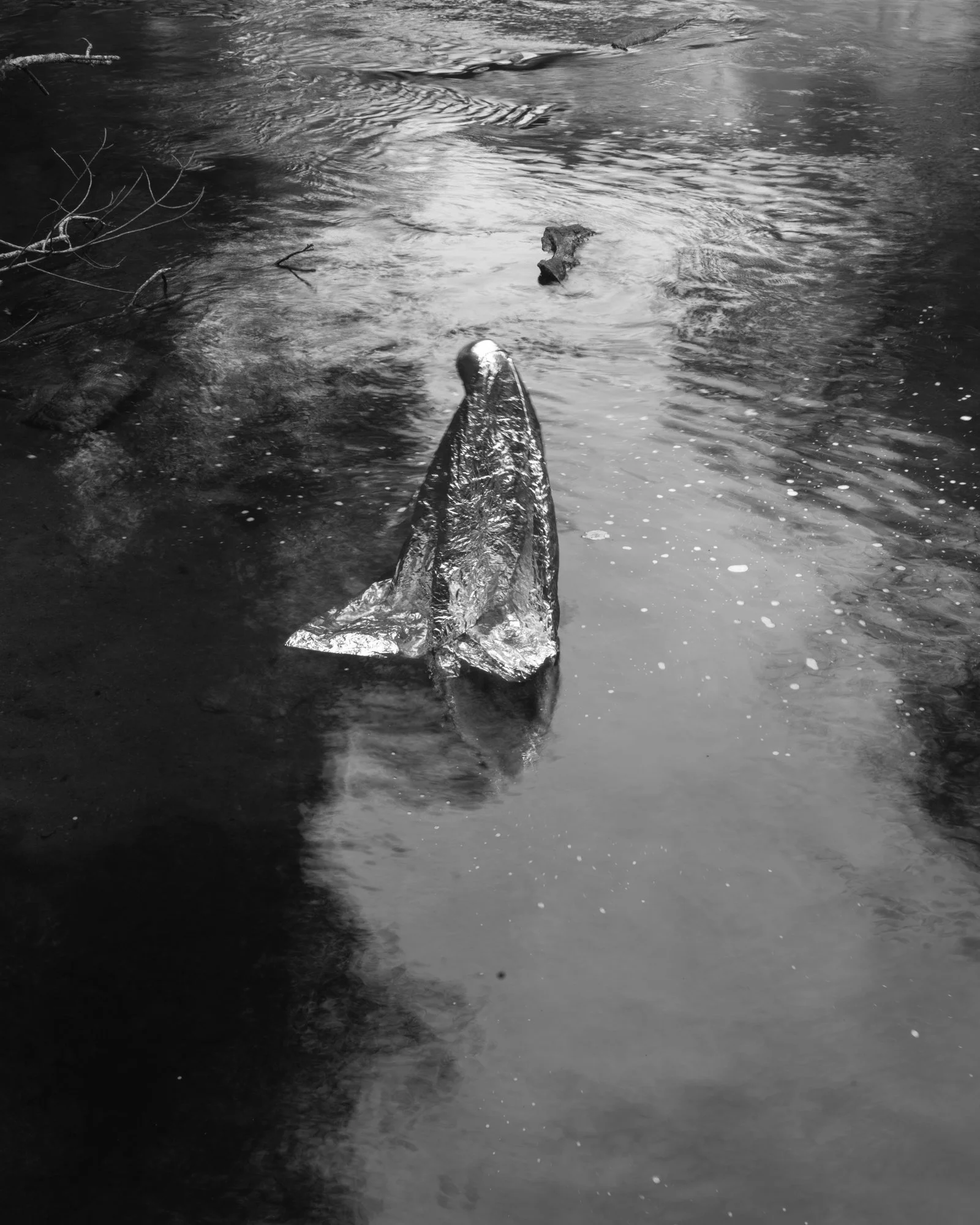 Flash Fiction_Freyer_-13.jpg