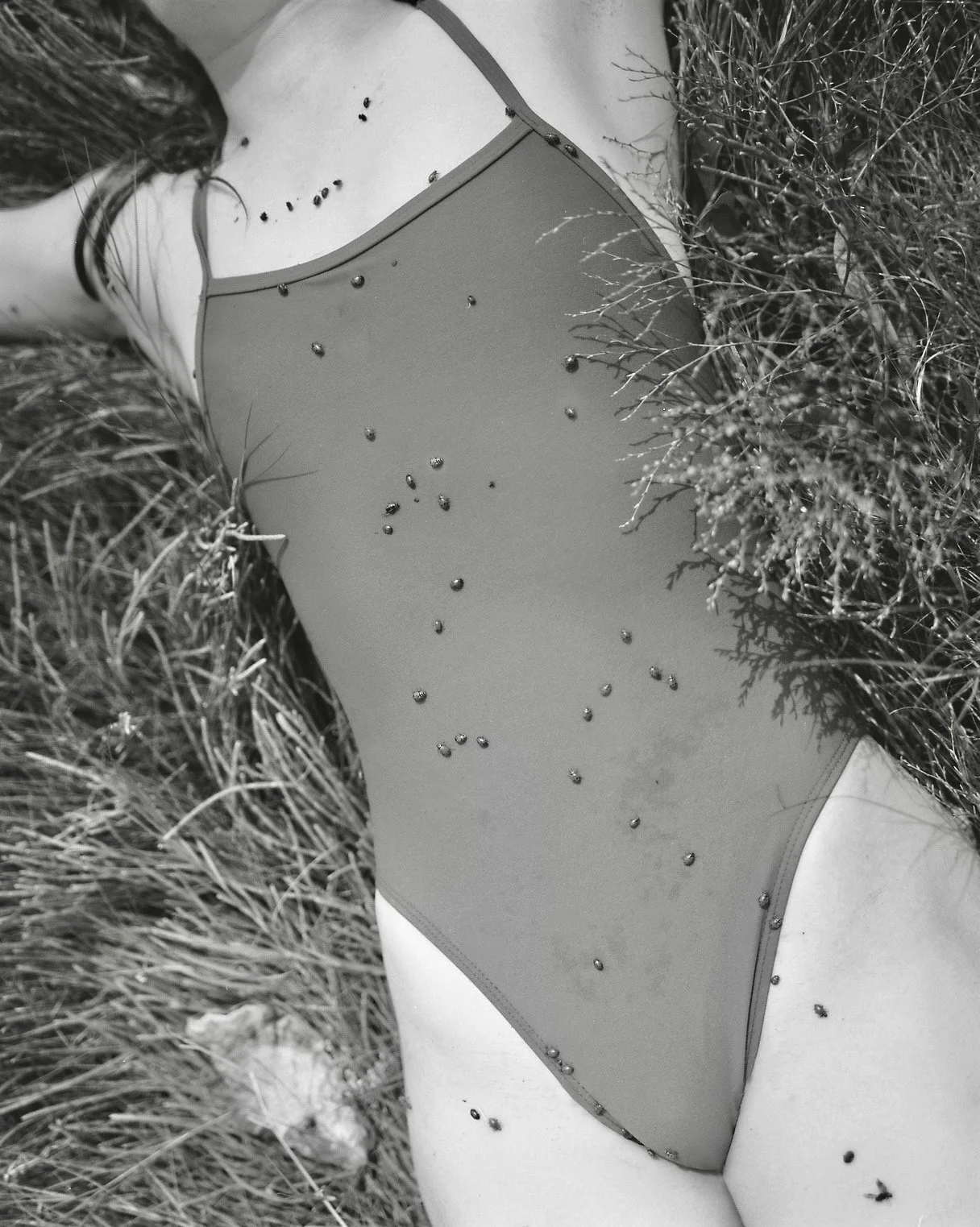 sarah lady bugs copy.jpg