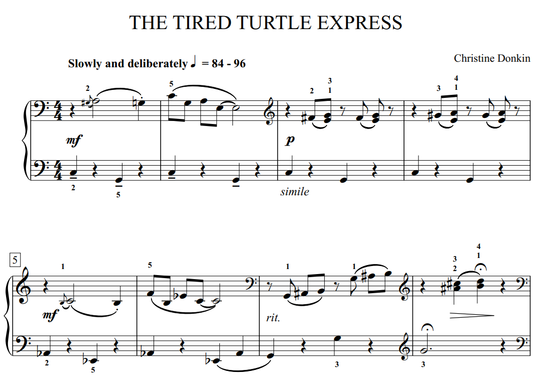tired turtle image.png