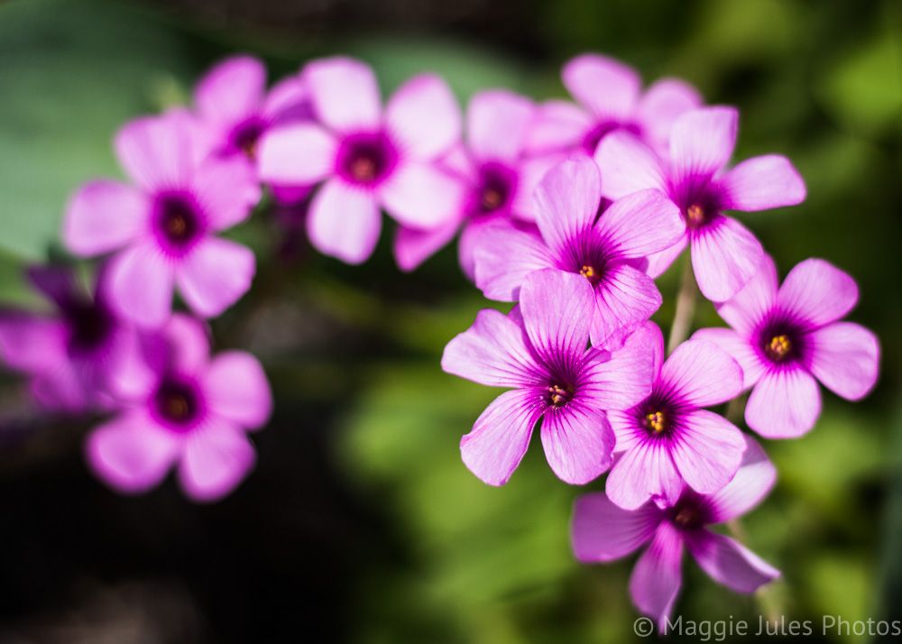 untitled-7145.jpg