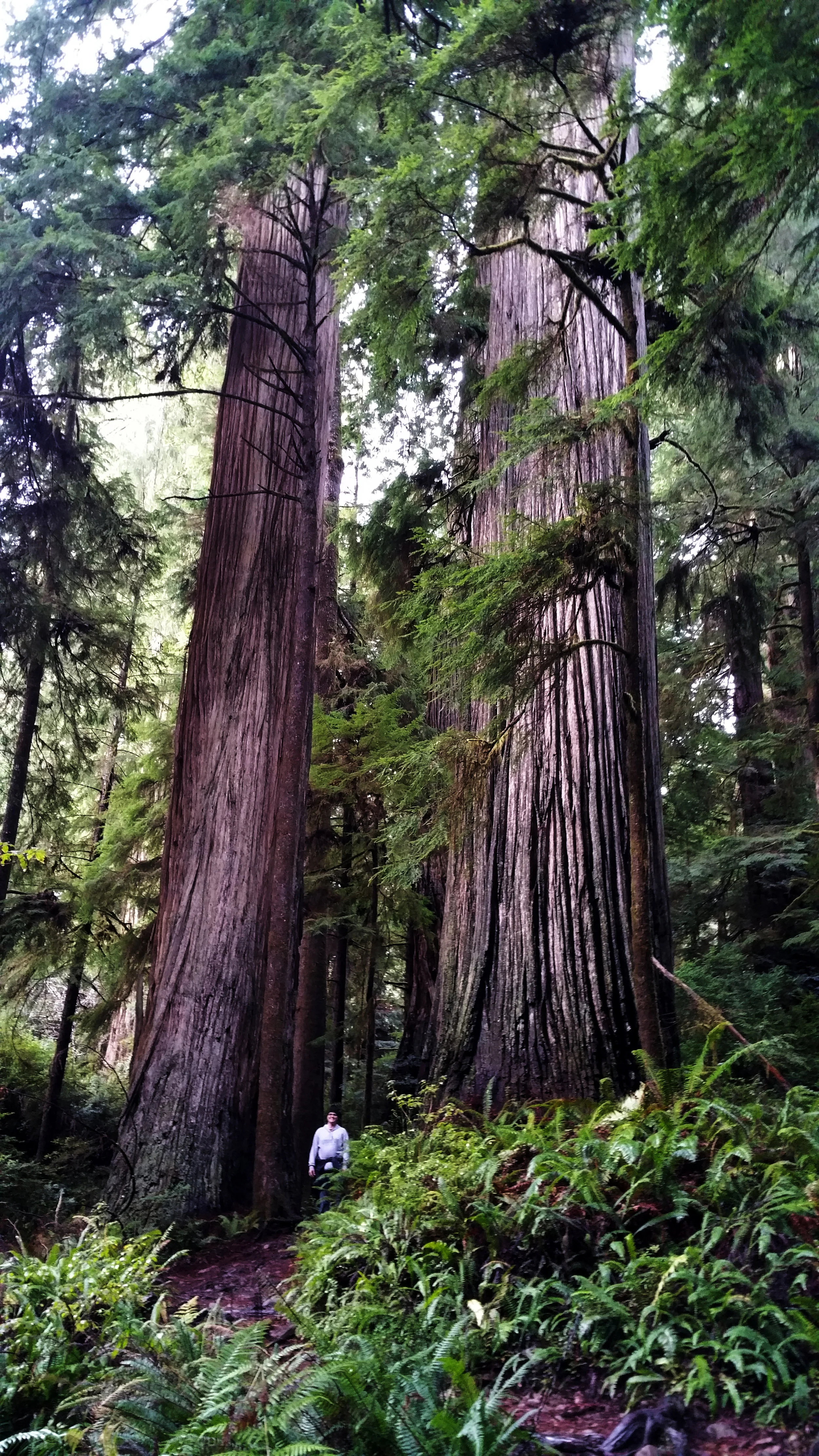 Benton for Scale.jpg