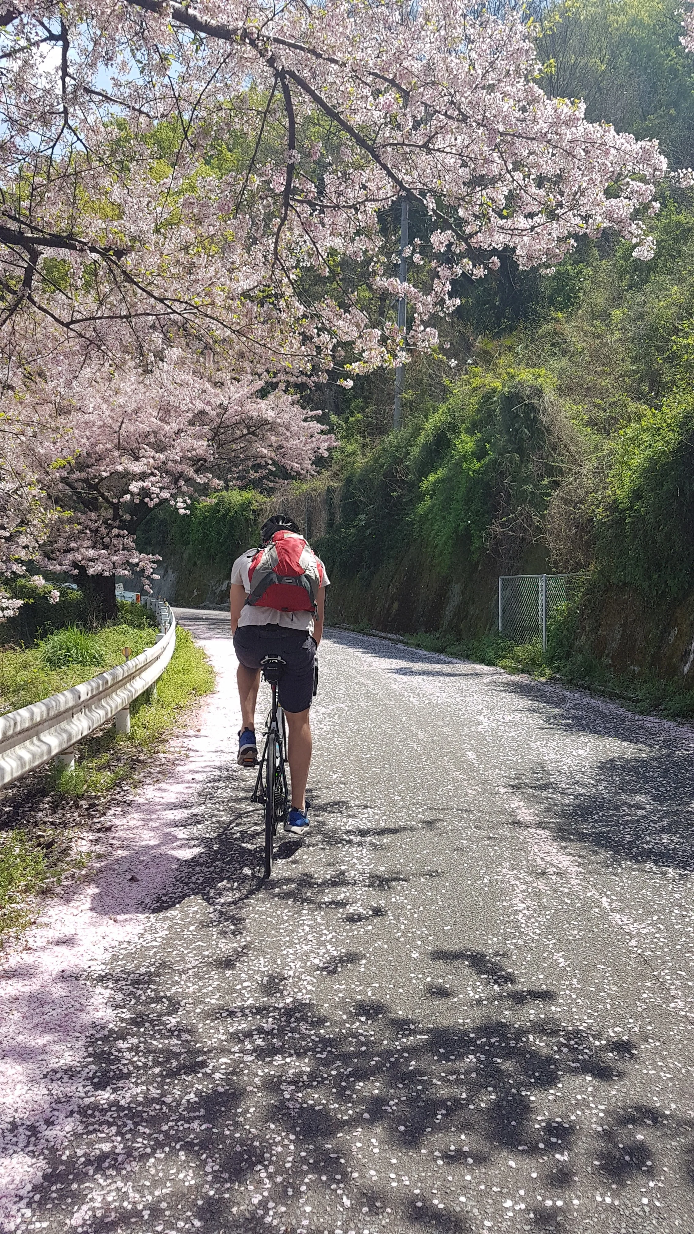 Shimanami Kaido, Japan