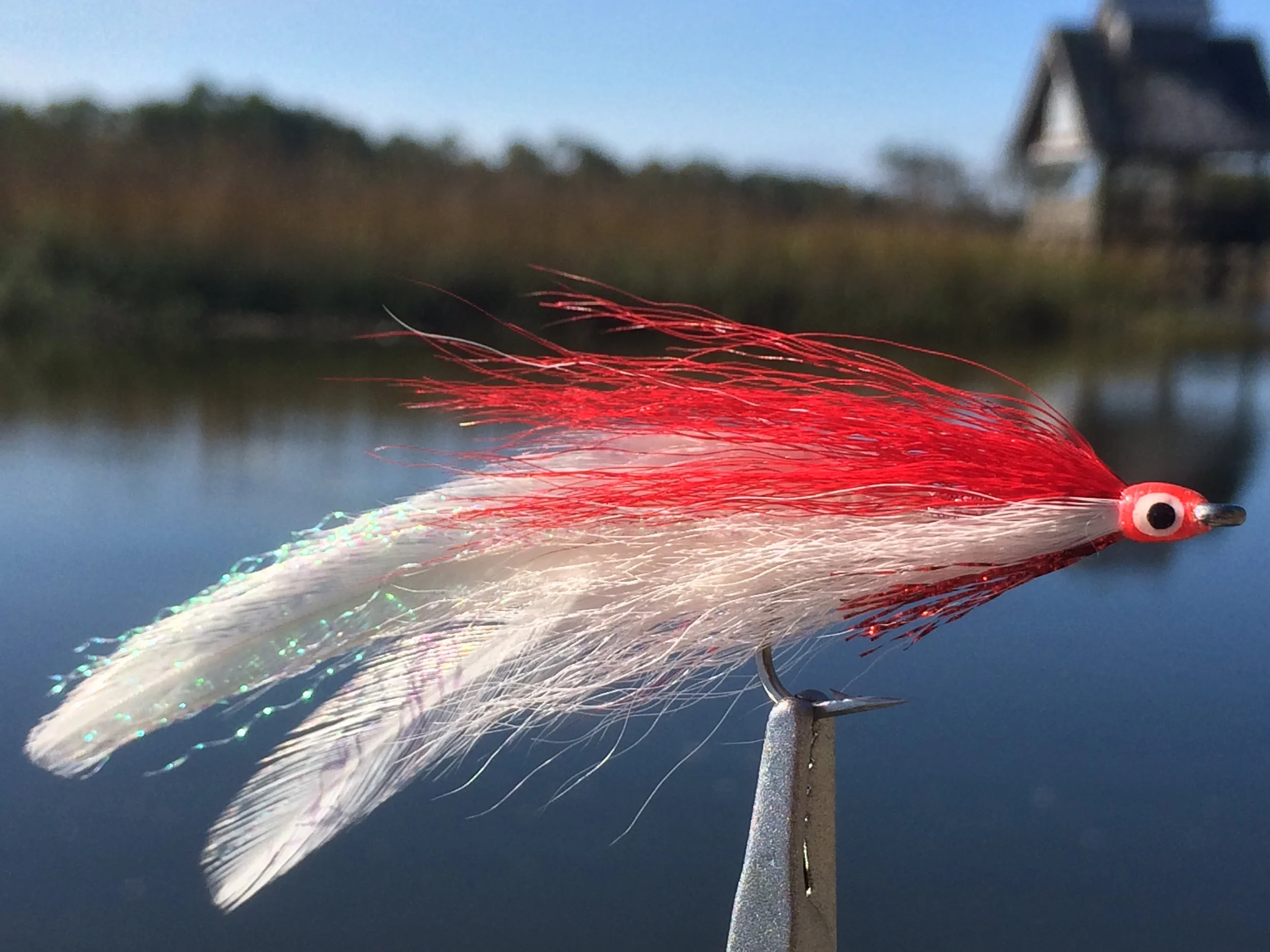 Deceiver Red and White.JPG