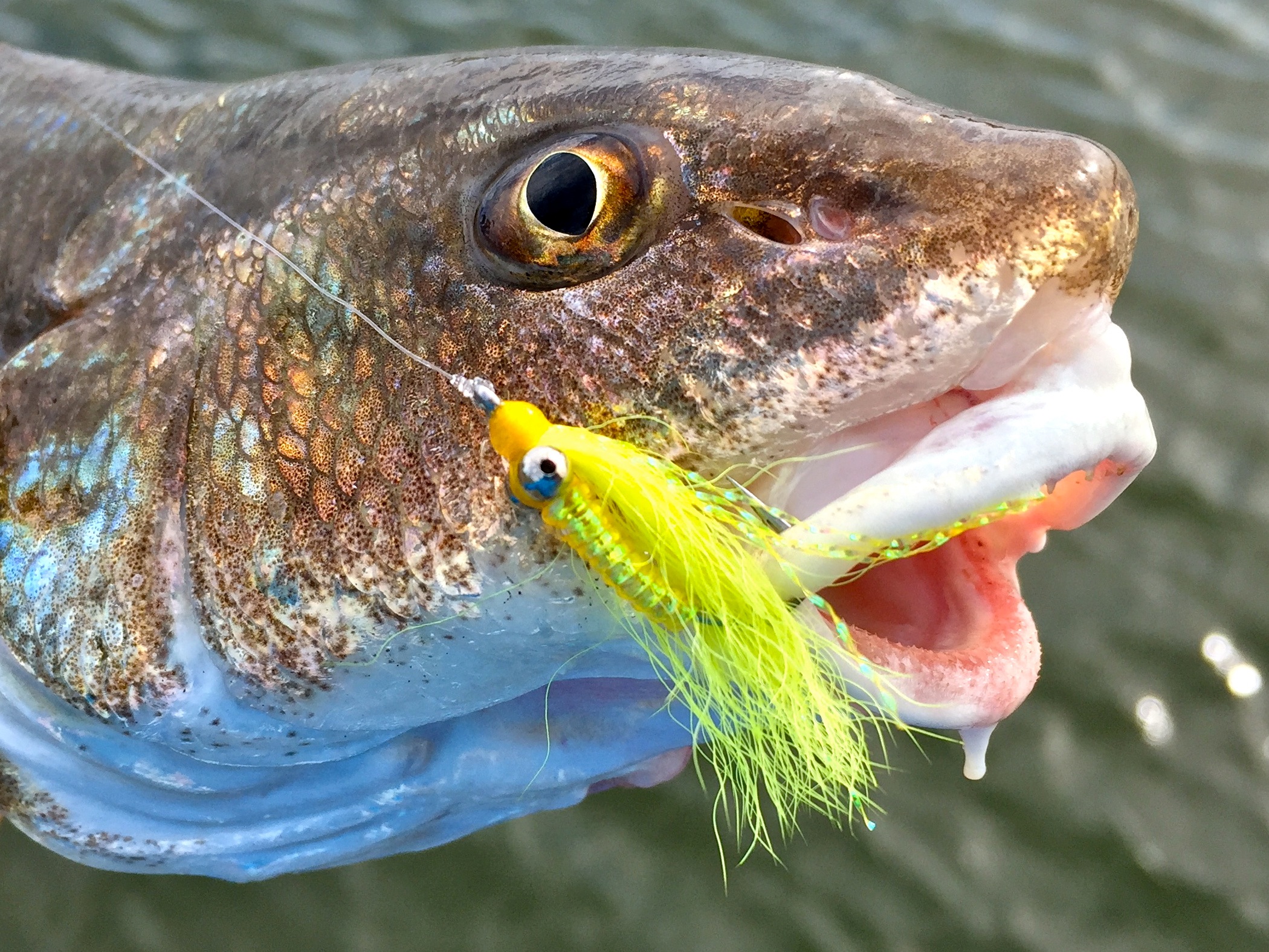 Crazy Charlie Yellow Chartreuse