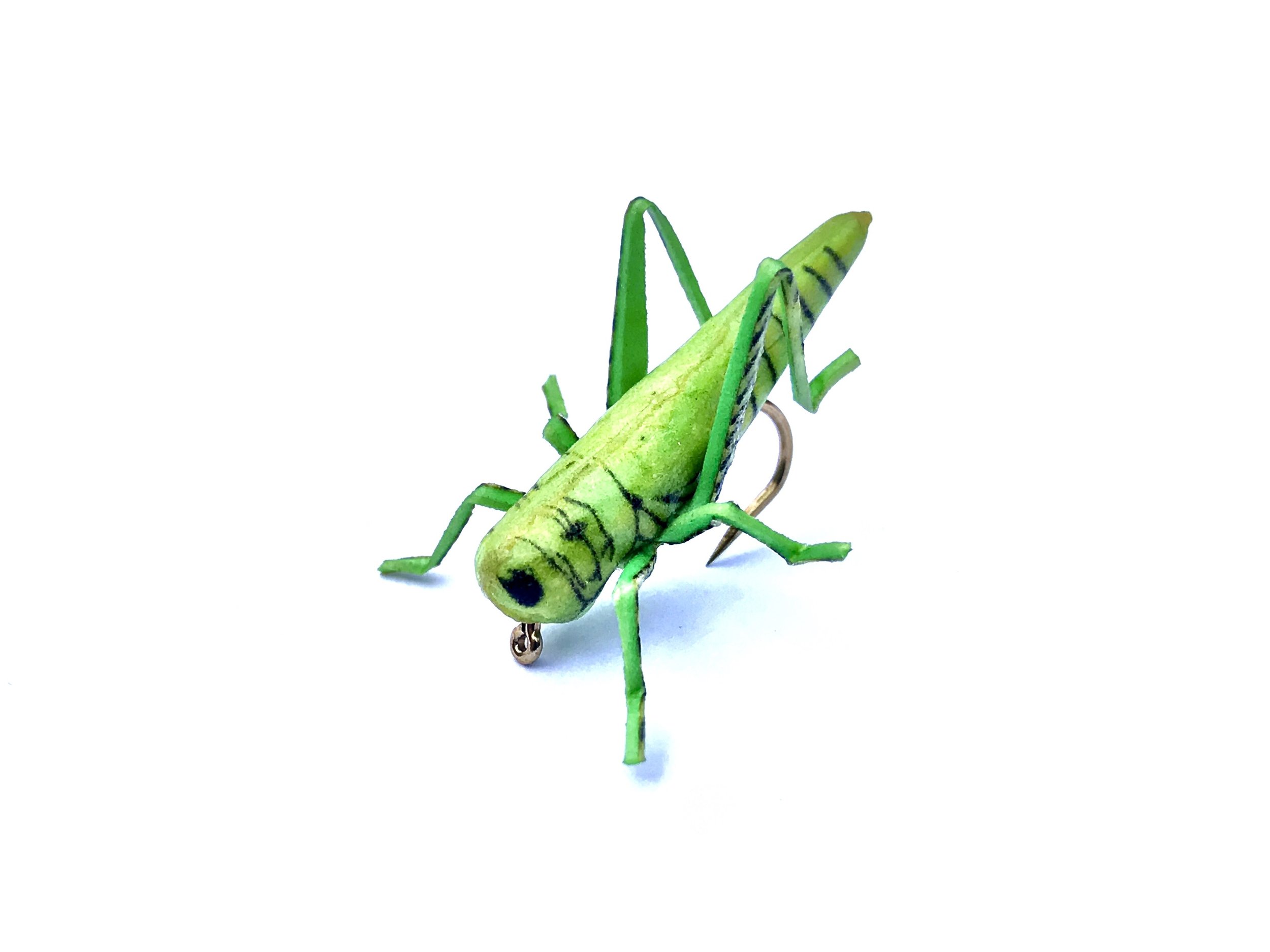 Henry's Green Grasshopper