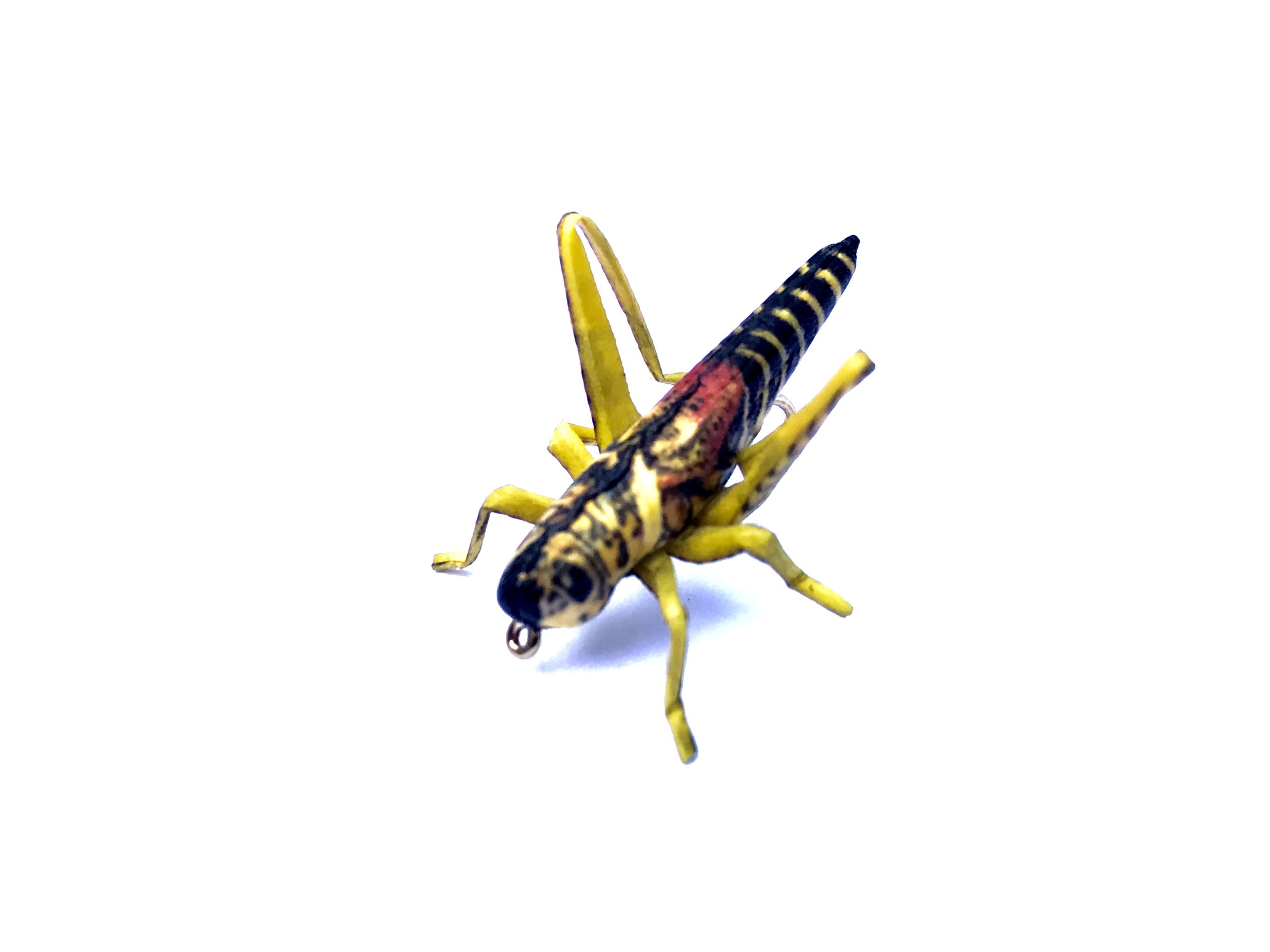 Henry's Yellow & Black Grasshopper