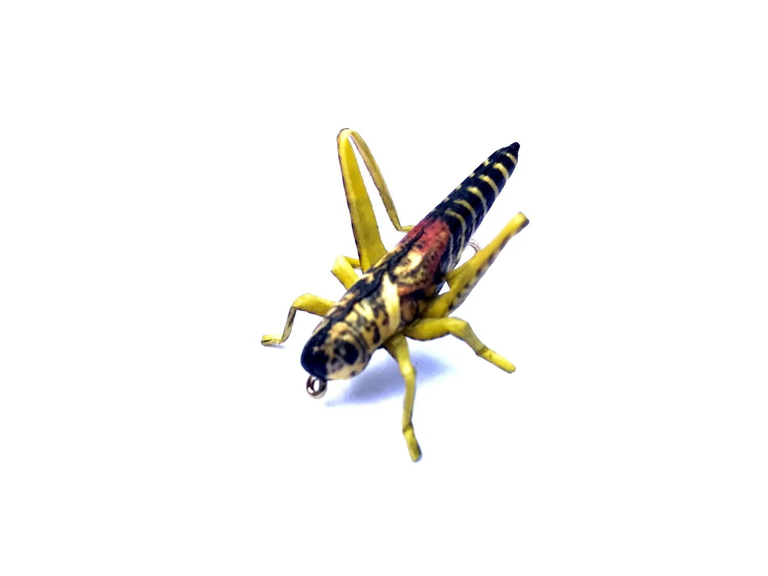 Henry's Yellow and Black Grasshopper.jpeg