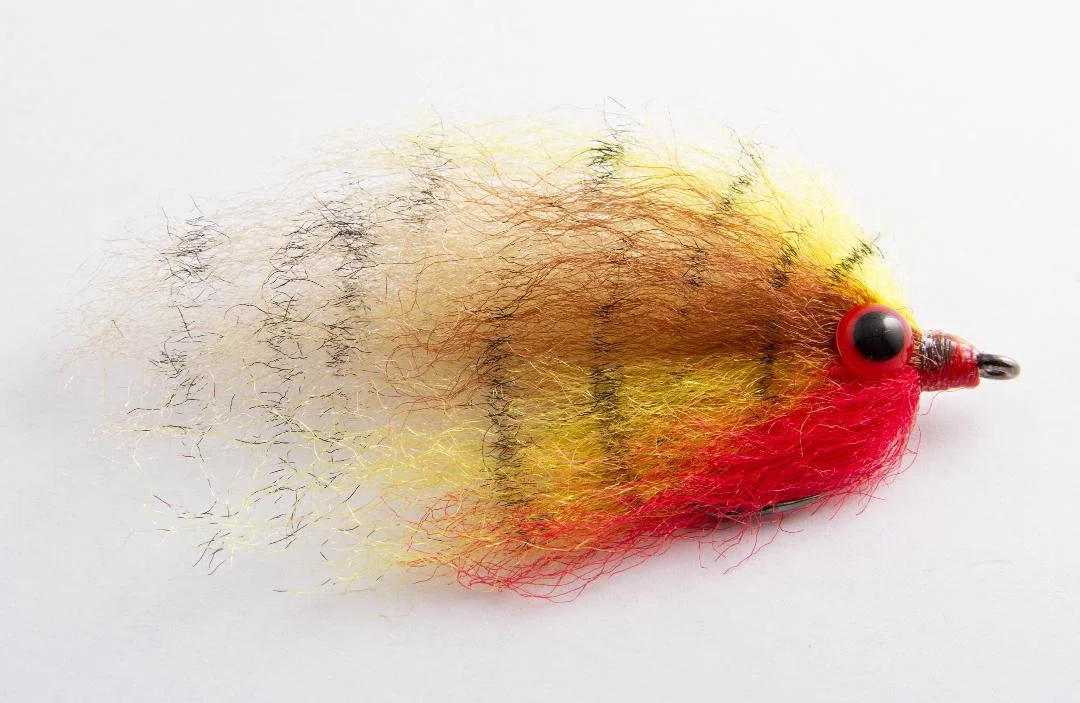 Bluegill.jpg