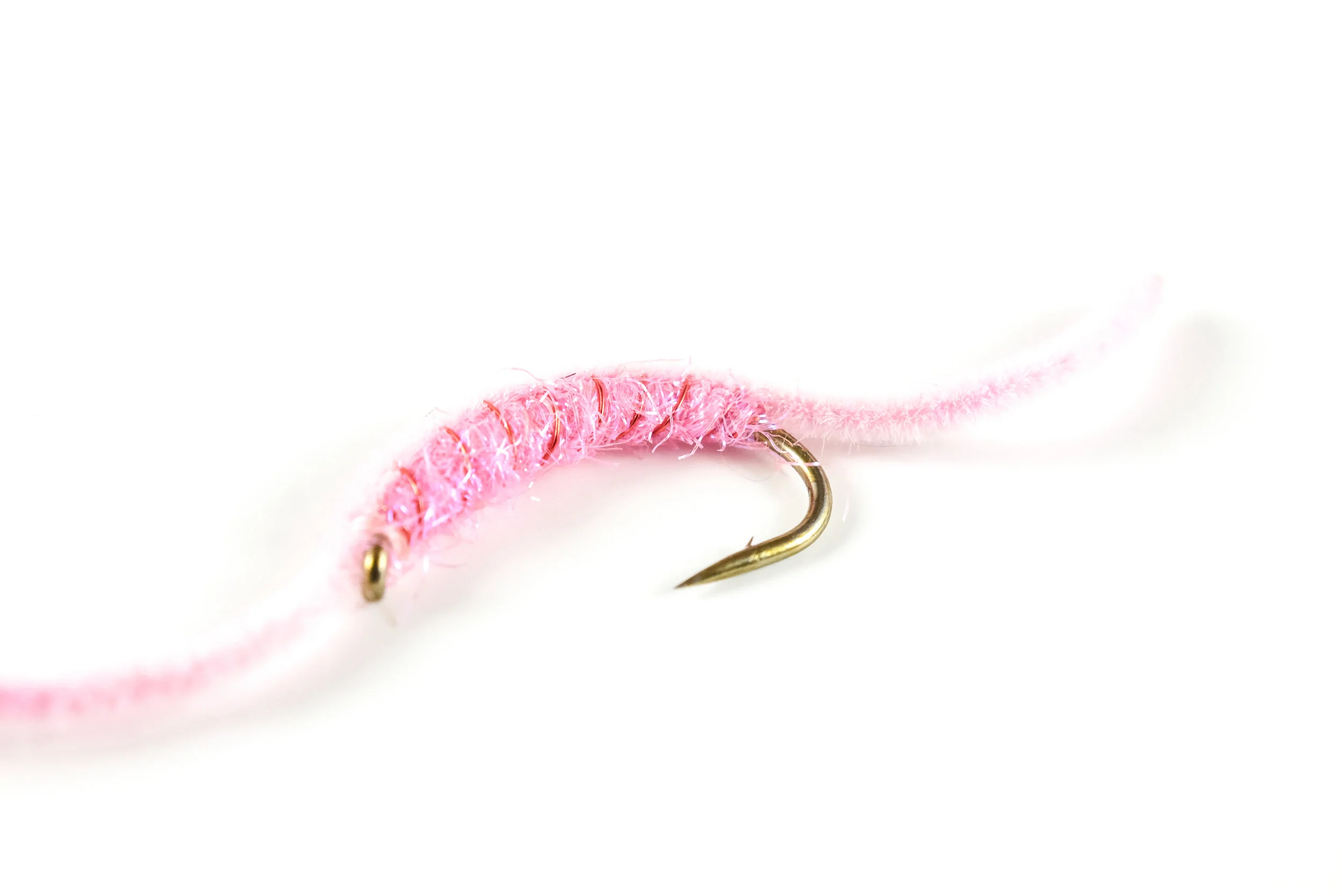 Last Chance Worm 2.jpg