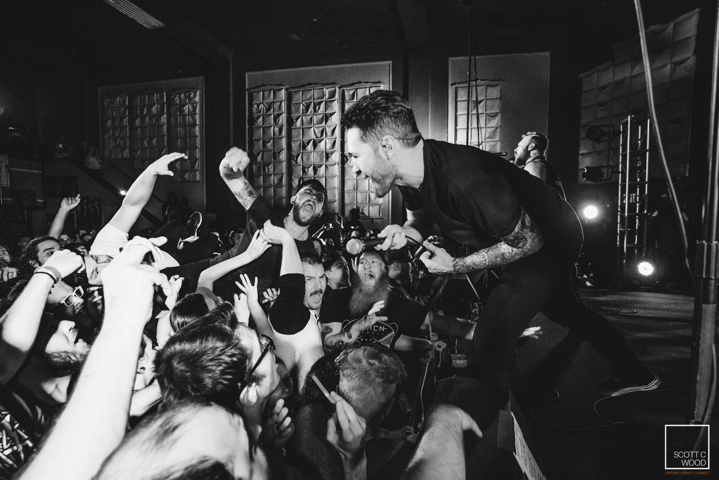 The Wedding's 10 Year Reunion Show - Polarity