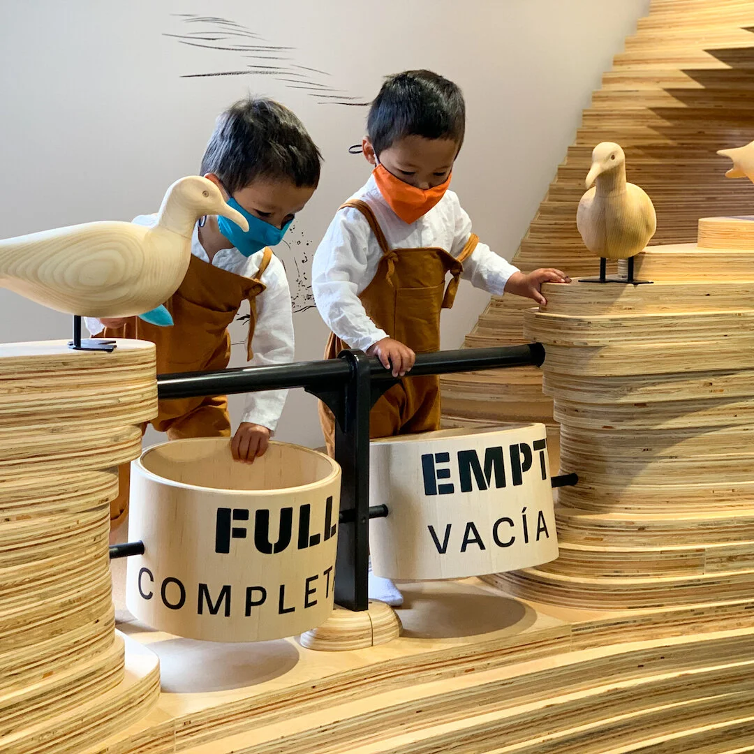 Divertidas Actividades de Verano Alrededor de la Bahía