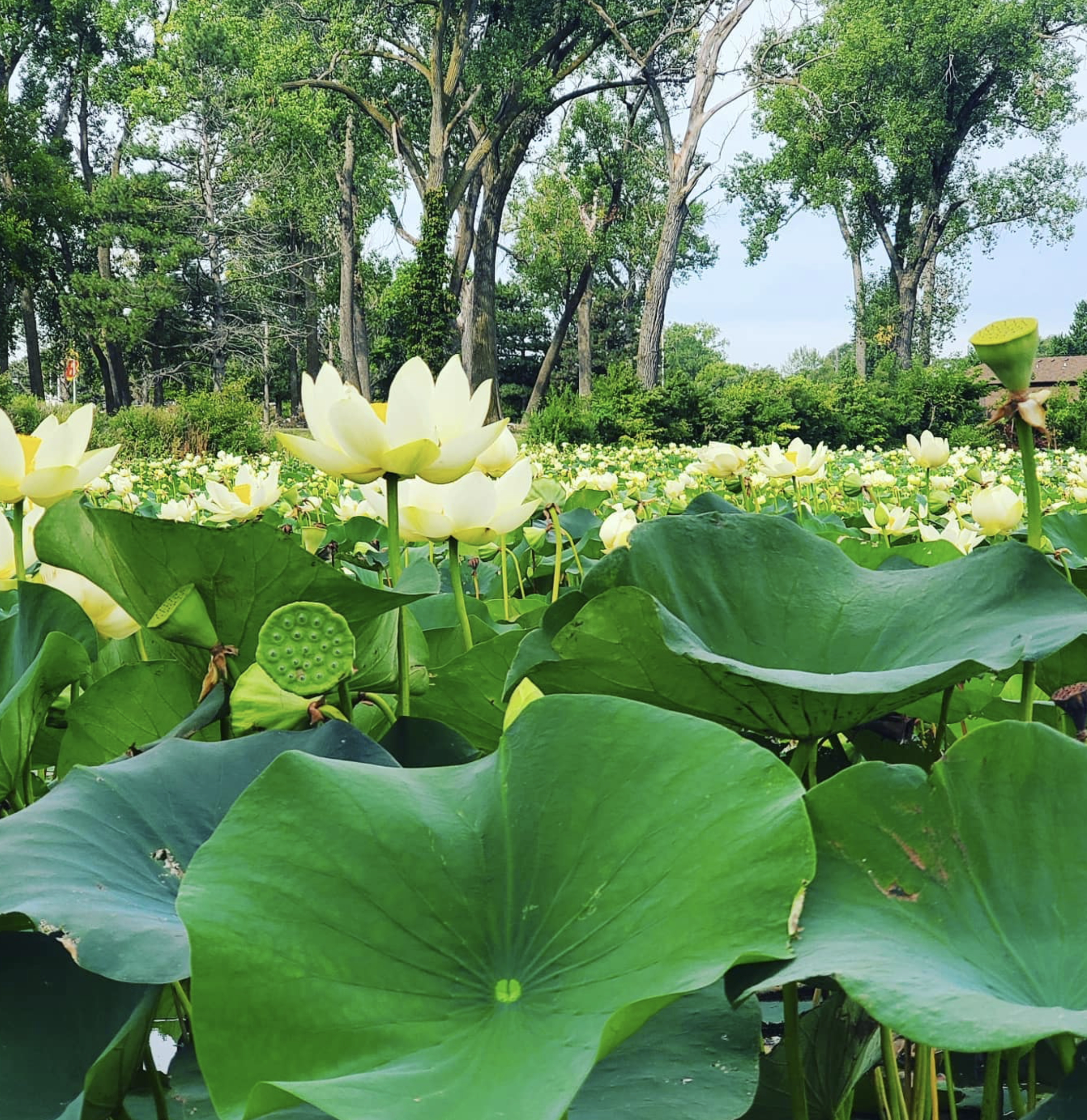 Screenshot 2024-12-13 at 6.49.24 AM.png