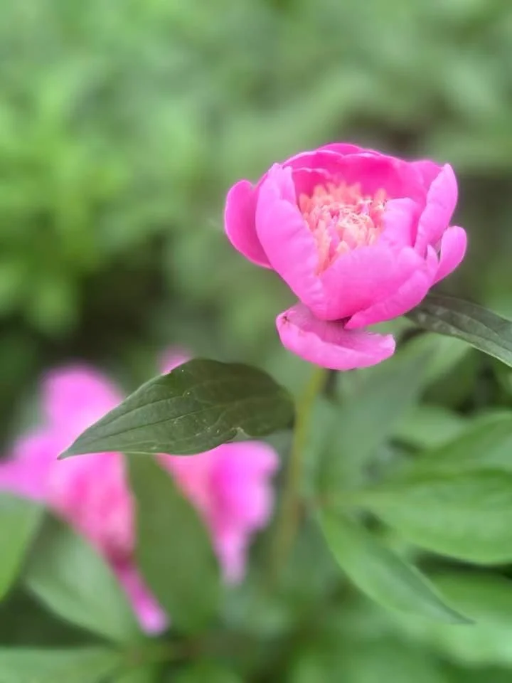 Spring time is the right time.