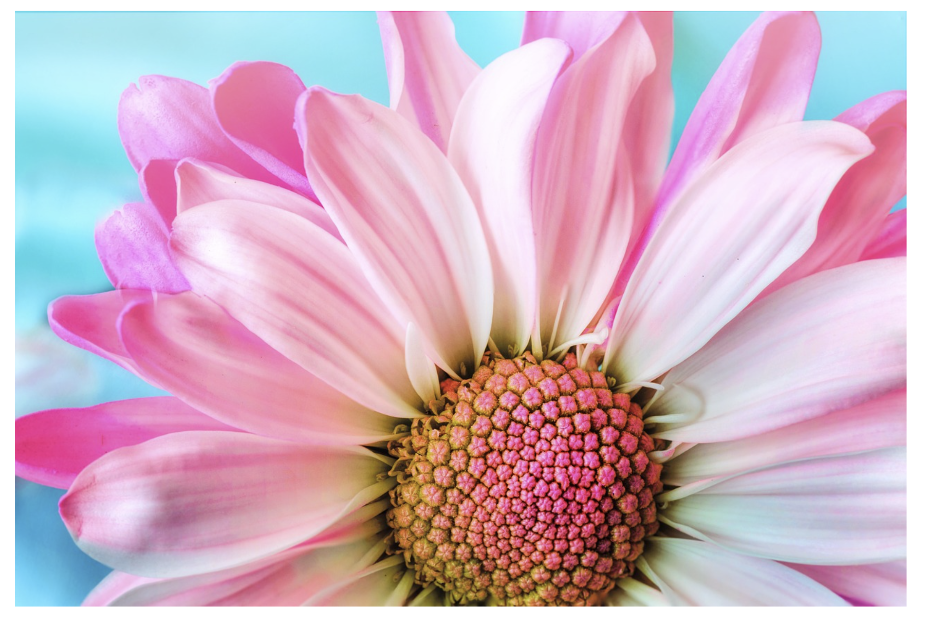 Screenshot 2023-09-30 at 4.31.38 PM.png