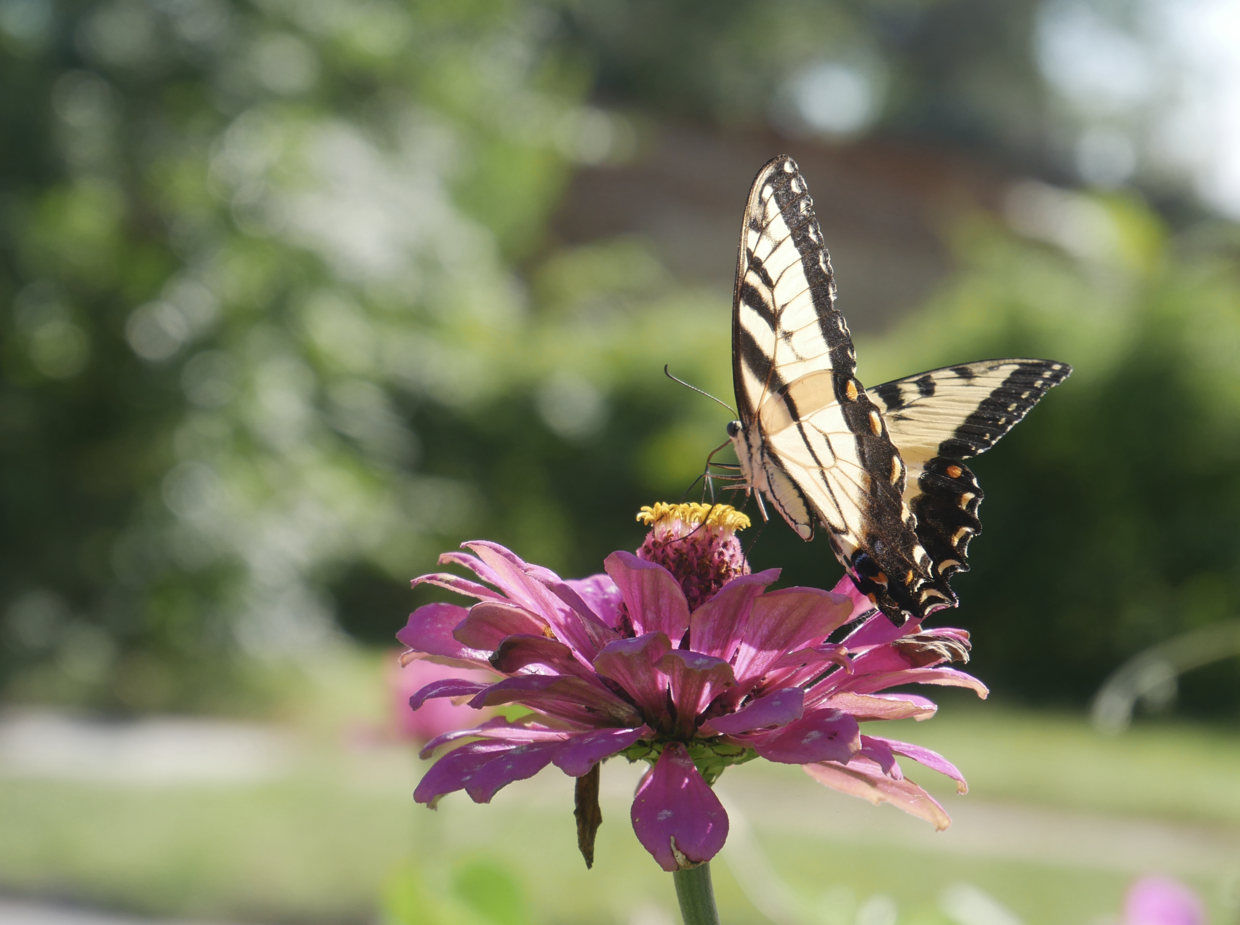 Screenshot 2025-12-14 at 11.40.20 AM.png